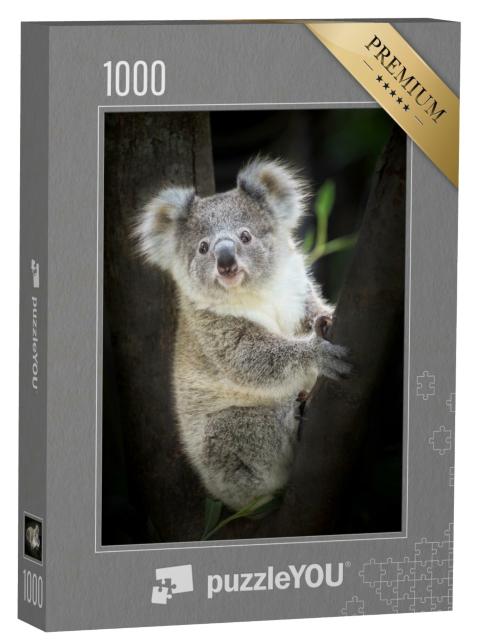 Puzzle de 1000 pièces « Koala au zoo »