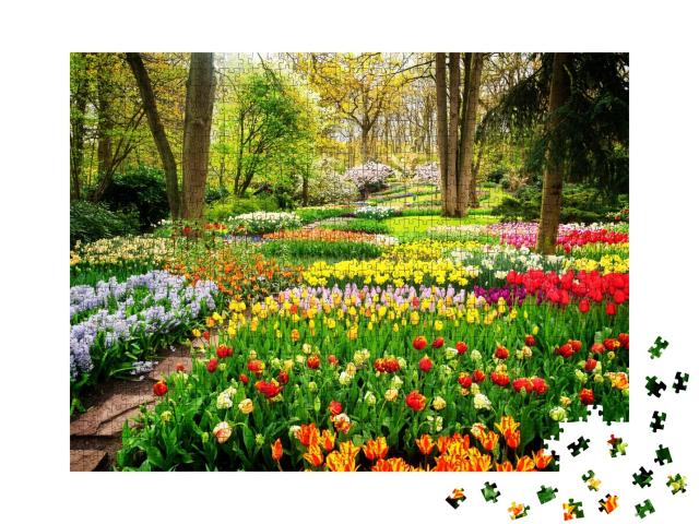 Puzzle de 1000 pièces « Une mer de tulipes colorées dans le parc »