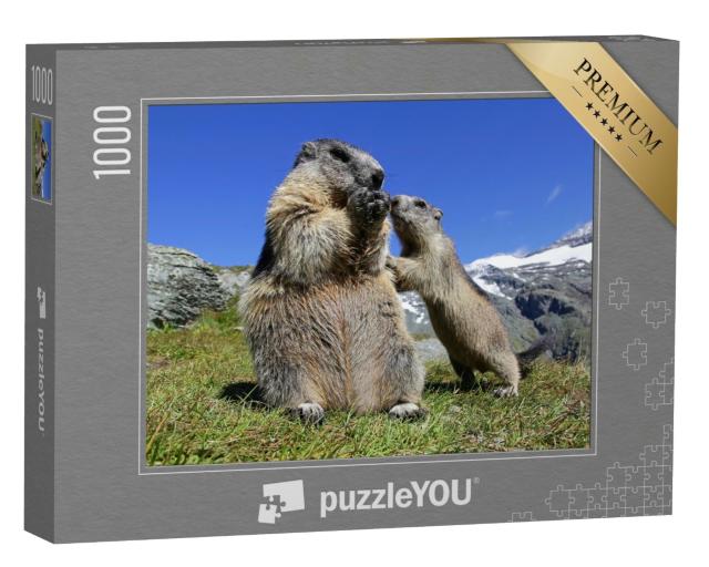Puzzle de 1000 pièces « Mère marmotte avec son petit curieux, Autriche »