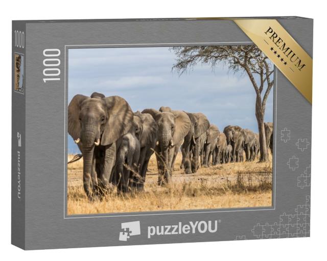 Puzzle de 1000 pièces « Troupeau d'éléphants en Afrique, parc national de Tarangire, Tanzanie »