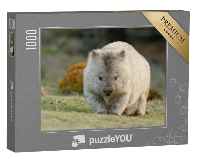 Puzzle de 1000 pièces « Wombat australien, également connu sous le nom d'ours à poils grossiers ou d'ours à nez nu »