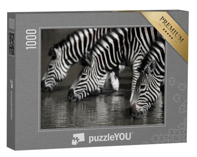 Puzzle de 1000 pièces « Troupeau de zèbres au point d'eau, Afrique du Sud »