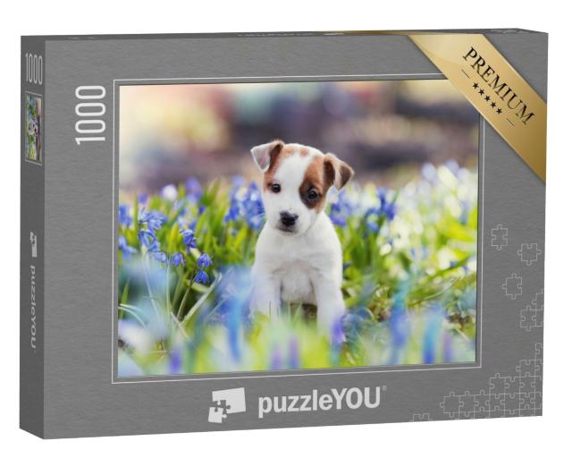 Puzzle de 1000 pièces « Chiot Jack Russell Terrier blanc en été »