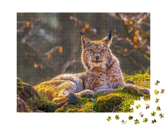 Puzzle de 1000 pièces « Jeune lynx dans la nature sauvage de la forêt »