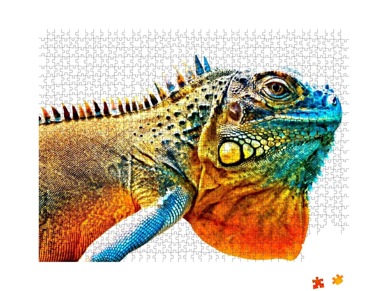 Puzzle de 1000 pièces « Photo de détail d'un iguane multicolore »