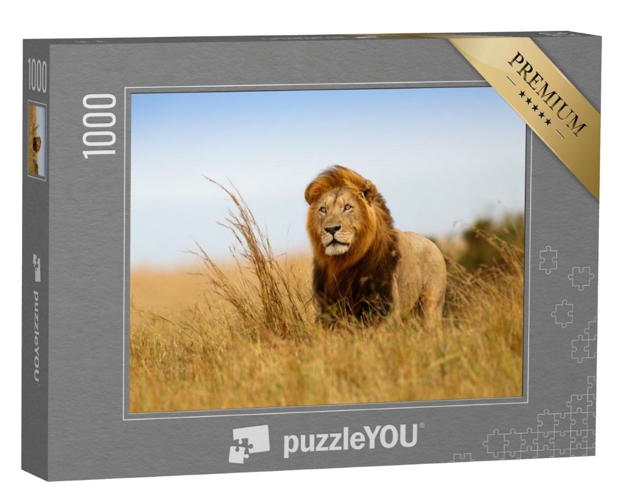 Puzzle de 1000 pièces « Un lion dans l'herbe dorée du Masai Mara, Kenya »