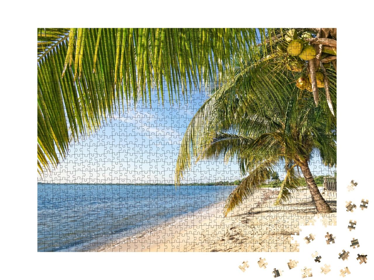 Puzzle de 1000 pièces « Palmier de plage et mer turquoise à Playa Larga, Cuba »