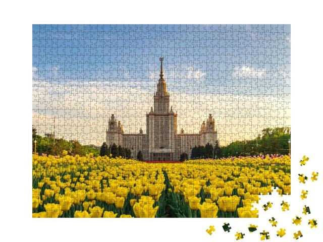 Puzzle de 1000 pièces « Tulipes en fleurs au printemps à la Moscow State University, Moscou, Russie »
