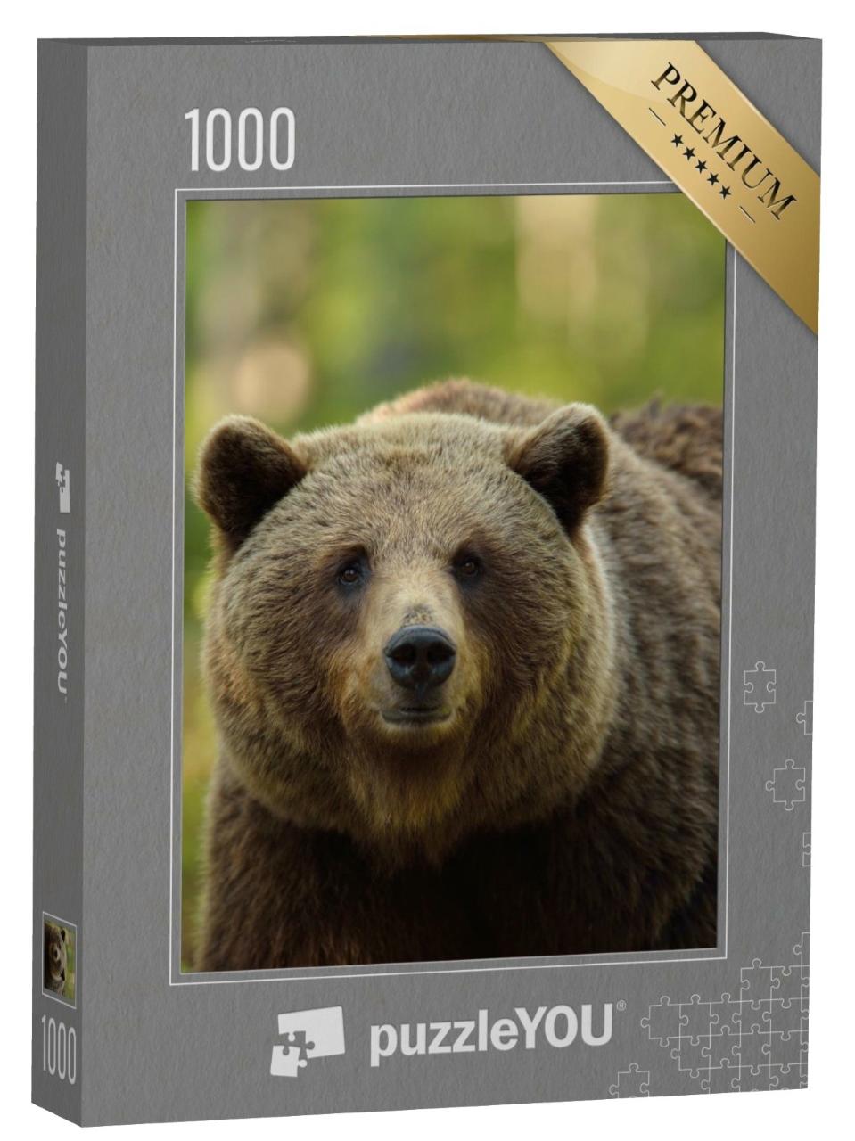 Puzzle de 1000 pièces « L'ours brun dans la forêt »