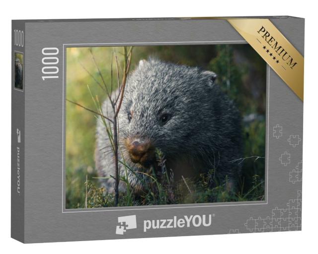 Puzzle de 1000 pièces « Wombat sur son snack-run »