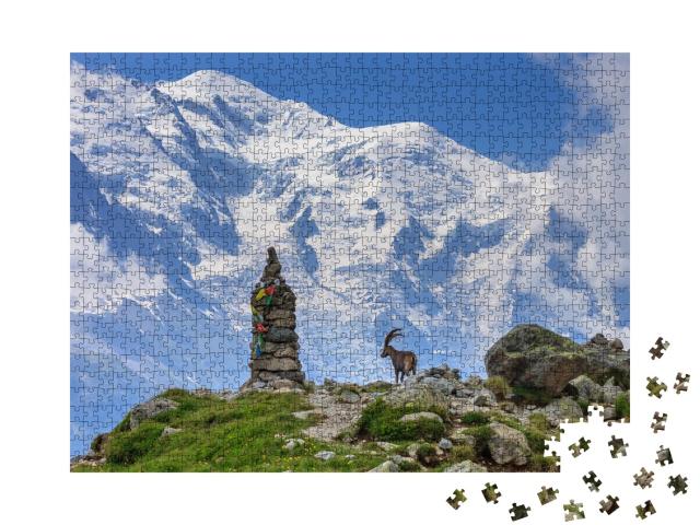 Puzzle de 1000 pièces « Bouquetin des Alpes devant le Mont Blanc, France »