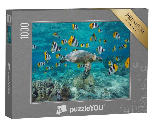Puzzle de 1000 pièces « Tortue de mer avec un banc de poissons tropicaux, Polynésie »