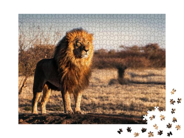 Puzzle de 1000 pièces « Lion unique d'apparence royale »
