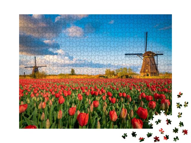Puzzle de 1000 pièces « Paysage néerlandais avec moulins à vent et tulipes en fleurs »