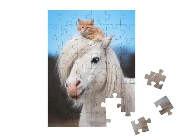 Puzzle de 48 pièces « Petit chaton rouge sur la tête d'un poney shetland blanc »