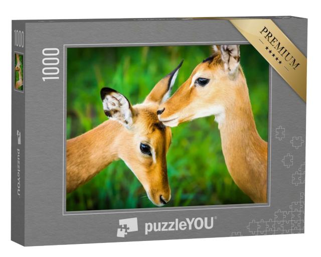 Puzzle de 1000 pièces « Jeune antilope impala »
