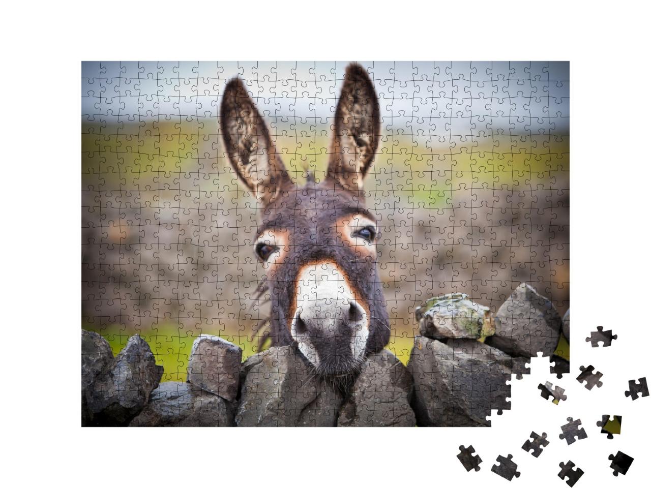 Puzzle de 500 pièces « Un âne curieux »