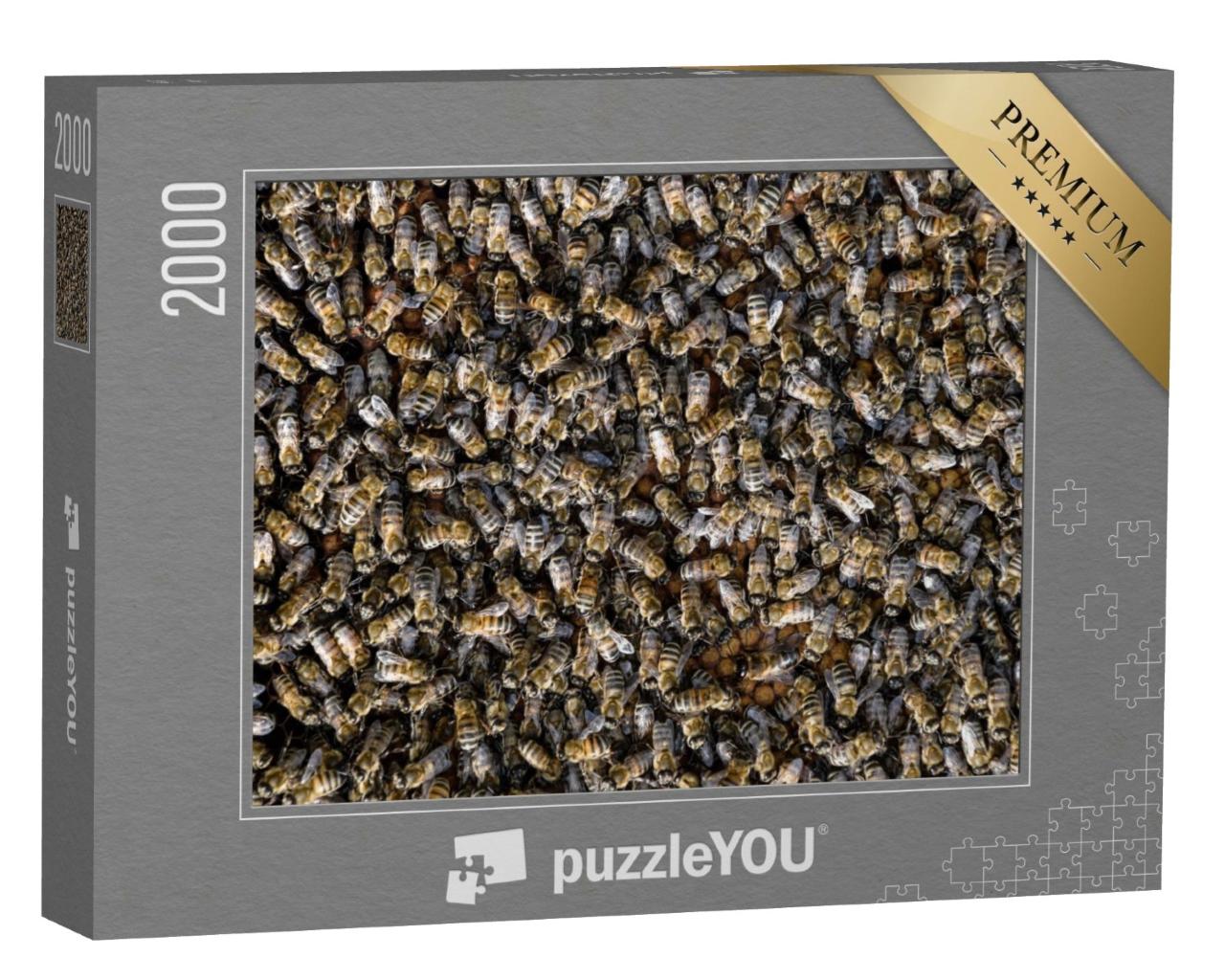 Puzzle de 2000 pièces « Un essaim d'abeilles à miel »