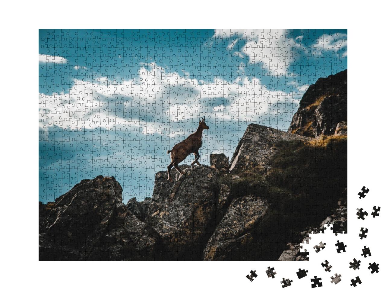 Puzzle de 1000 pièces « Jeune chamois dans les Alpes italiennes »