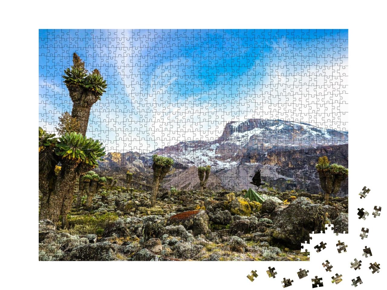 Puzzle de 1000 pièces « Camping sur le Kilimandjaro dans des tentes pour voir les glaciers, Afrique »