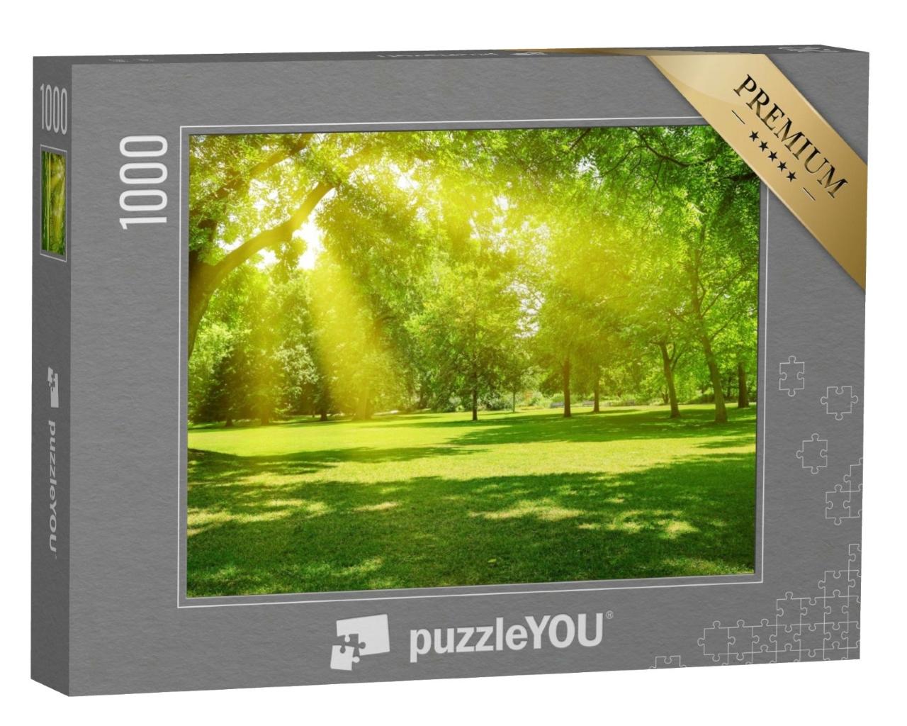 Puzzle de 1000 pièces « Rayons de soleil dans un parc verdoyant »