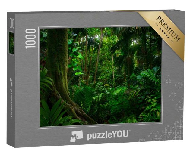 Puzzle de 1000 pièces « Jungles tropicales d'Asie du Sud-Est en août »