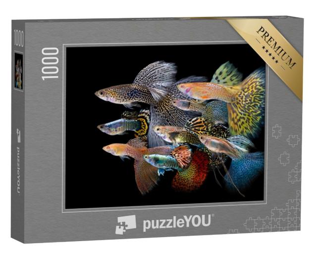 Puzzle de 1000 pièces « Poissons guppy multicolores »