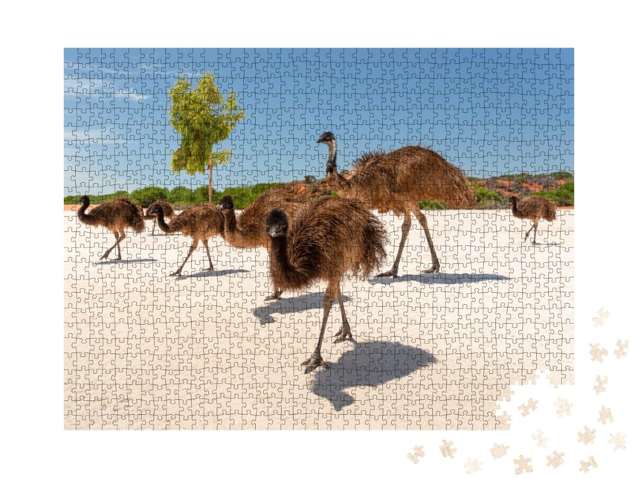 Puzzle de 1000 pièces « Famille d'émeus à la baie des requins, parc national François-Peron, Monkey Mia »