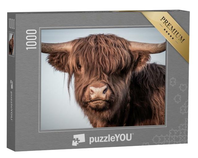 Puzzle de 1000 pièces « Portrait d'un bovin des Highlands écossais »