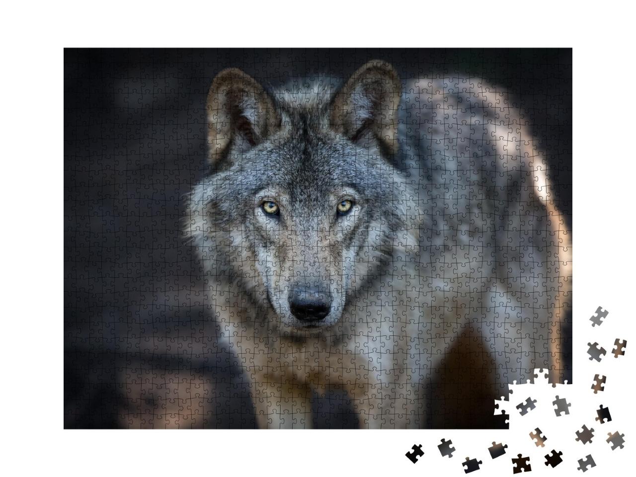 Puzzle de 1000 pièces « Gros plan sur un loup gris dans les forêts canadiennes »