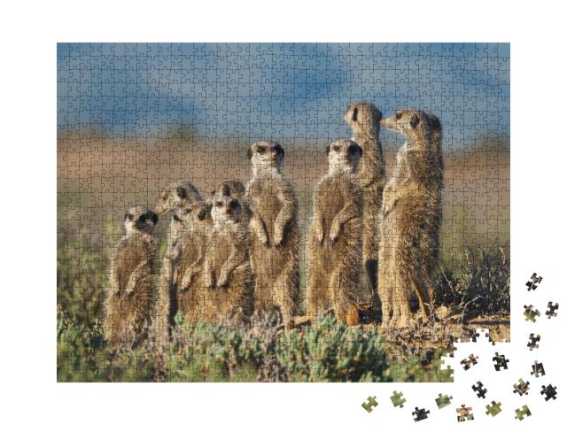 Puzzle de 1000 pièces « Famille de suricates en Afrique du Sud »