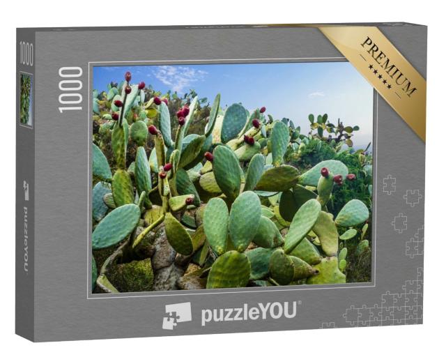 Puzzle de 1000 pièces « Champ de cactus près de Mexico »