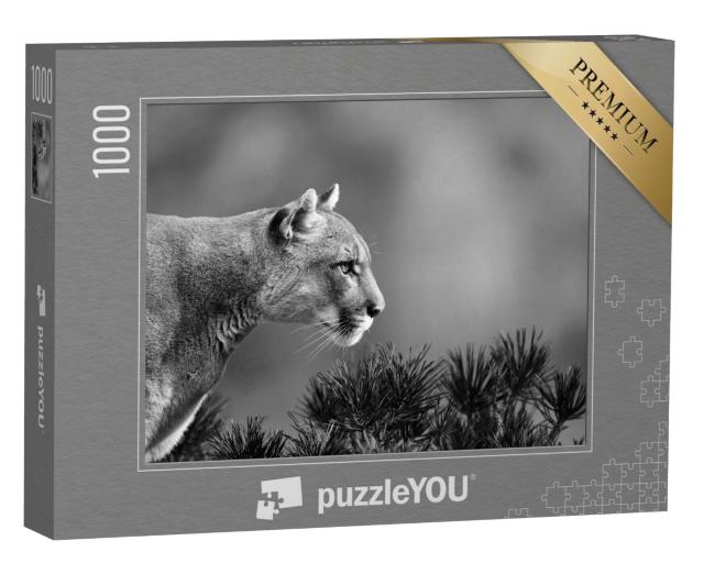 Puzzle de 1000 pièces « Portrait latéral d'un puma »