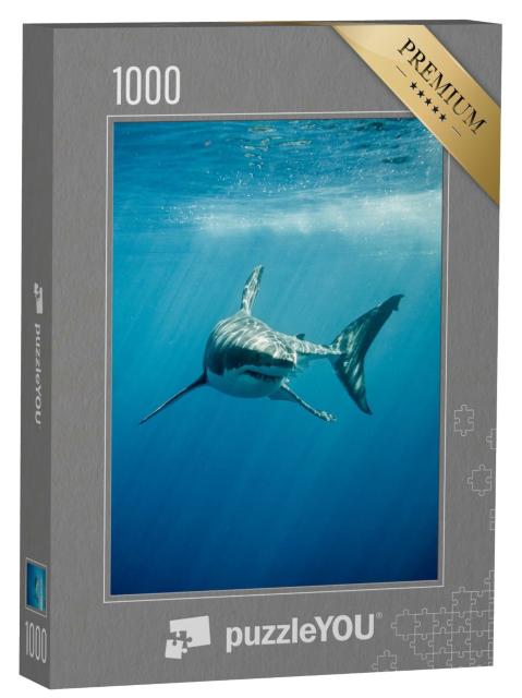 Puzzle de 1000 pièces « Le grand requin blanc dans l'océan bleu »