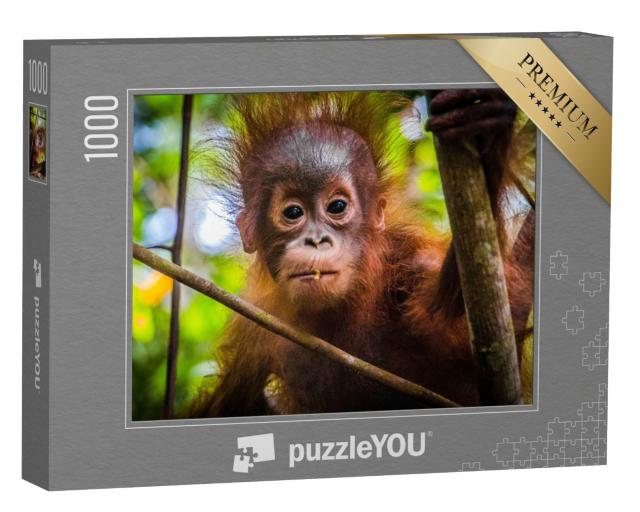 Puzzle de 1000 pièces « Le bébé orang-outan le plus mignon du monde regarde la caméra à Bornéo »