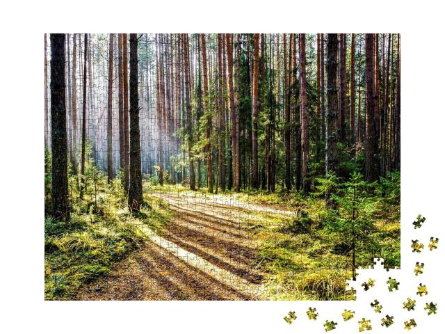 Puzzle de 1000 pièces « Chemin dans la forêt paisible avec des rayons de soleil »