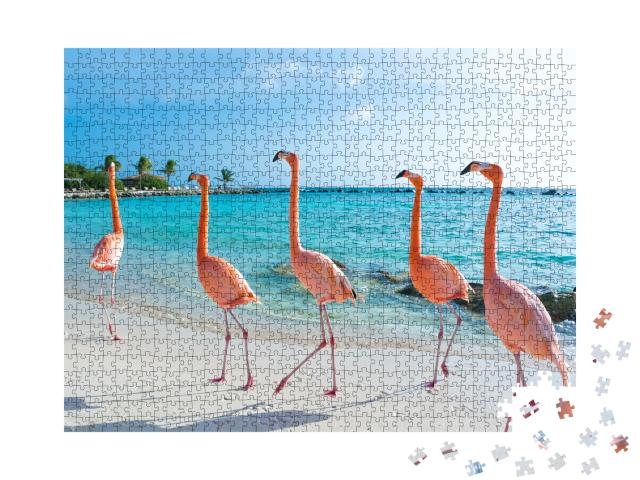 Puzzle de 1000 pièces « Flamant rose, île d'Aruba »