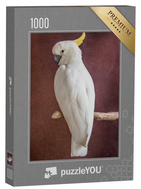 Puzzle de 1000 pièces « Perroquet blanc sur une branche »