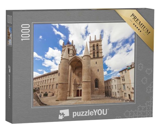 Puzzle de 1000 pièces « Cathédrale Sainte-Pierre à Montpellier, France »