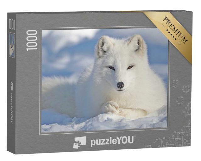 Puzzle de 1000 pièces « Magnifique renard arctique dans la neige »