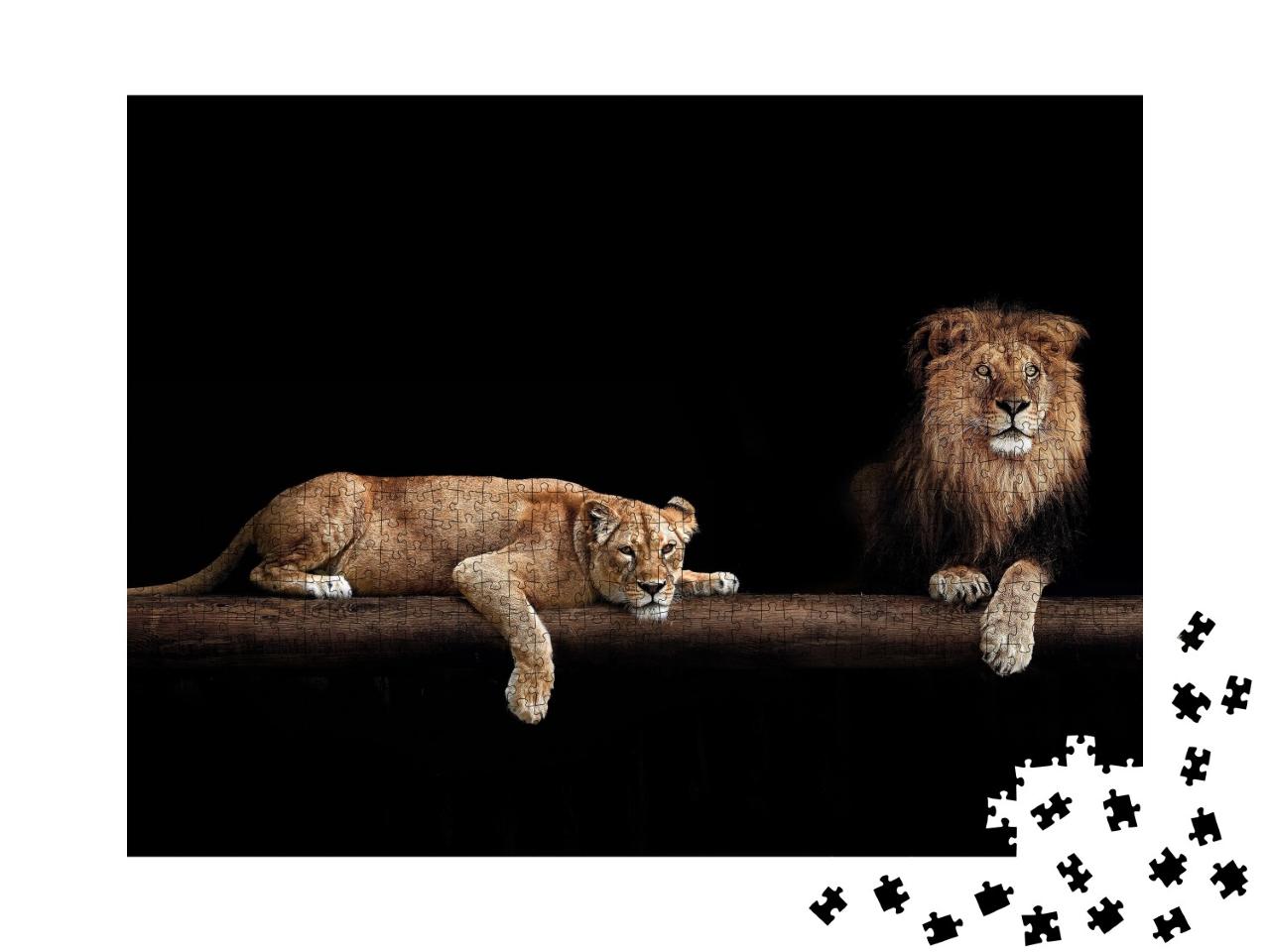 Puzzle de 1000 pièces « Lion et lionne »