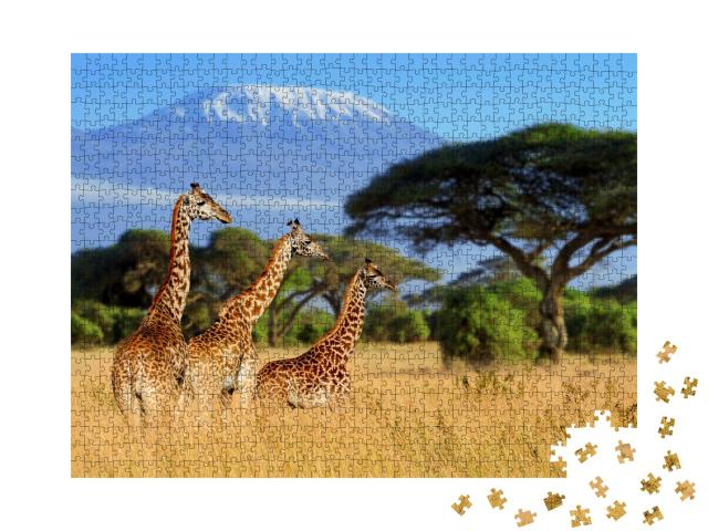 Puzzle de 1000 pièces « Girafes devant le Kilimandjaro, parc national du Kenya, Afrique »