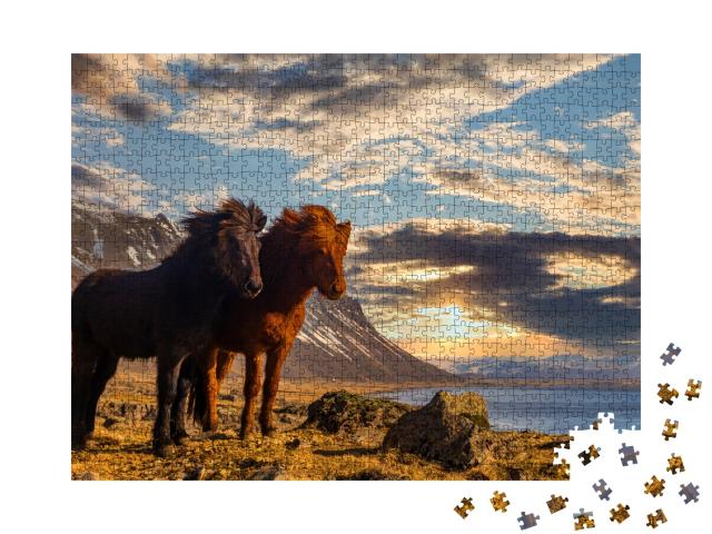 Puzzle de 1000 pièces « Deux chevaux islandais sur la côte au coucher du soleil »