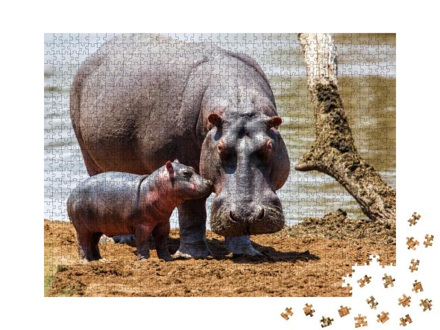 Puzzle de 1000 pièces « Une mère hippopotame et son bébé dans le parc national de Masai Mara, Kenya »