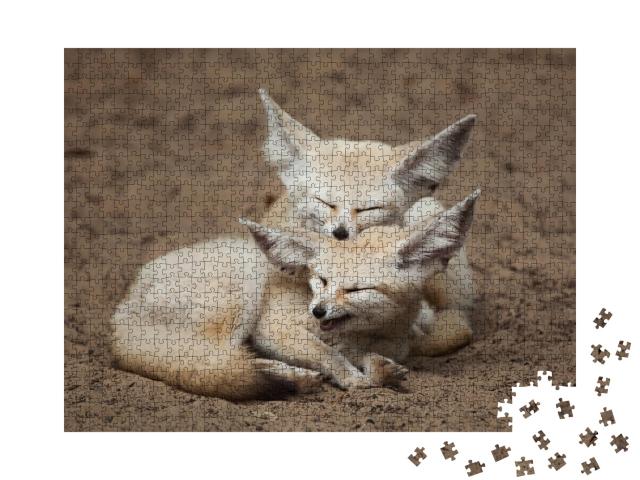 Puzzle de 1000 pièces « Les renards fennecs lors d'une petite pause »
