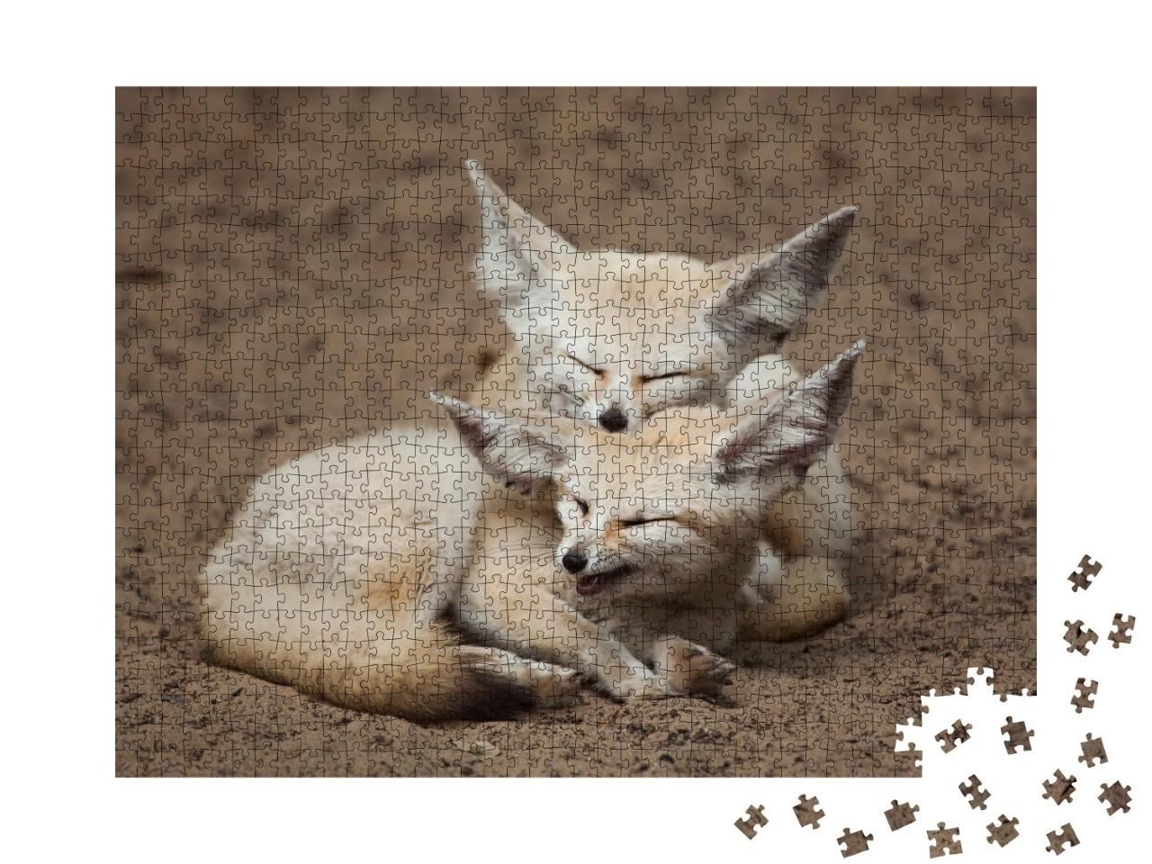 Puzzle de 1000 pièces « Les renards fennecs lors d'une petite pause »
