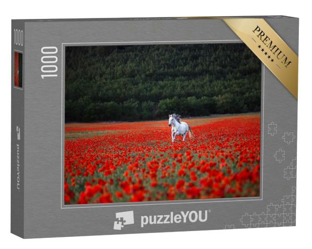 Puzzle de 1000 pièces « Un cheval blanc galope à travers un champ de coquelicots rouges »