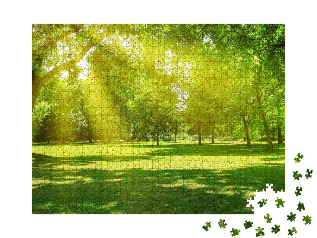 Puzzle de 1000 pièces « Rayons de soleil dans un parc verdoyant »
