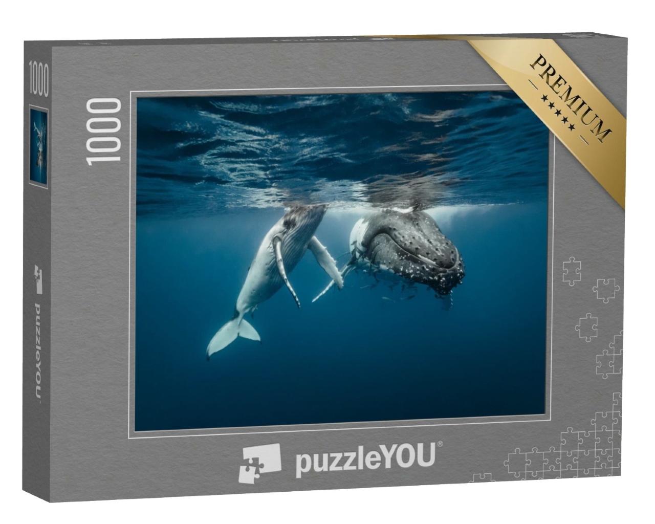 Puzzle de 1000 pièces « Une mère baleine à bosse et son baleineau dans des eaux cristallines »