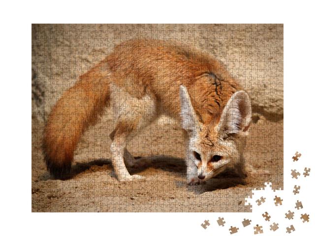 Puzzle de 1000 pièces « Le renard fennec à la chasse »
